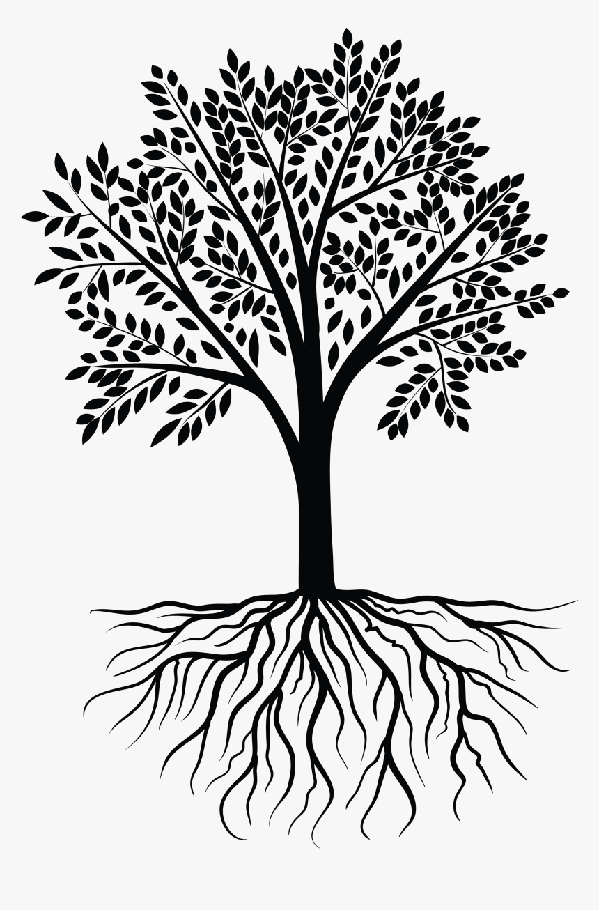 Detail Tree Vector Transparent Background Nomer 30