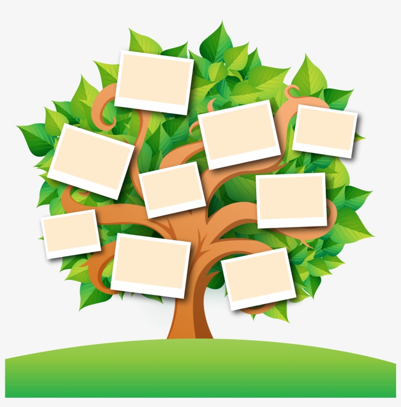 Detail Tree Vector Transparent Background Nomer 31