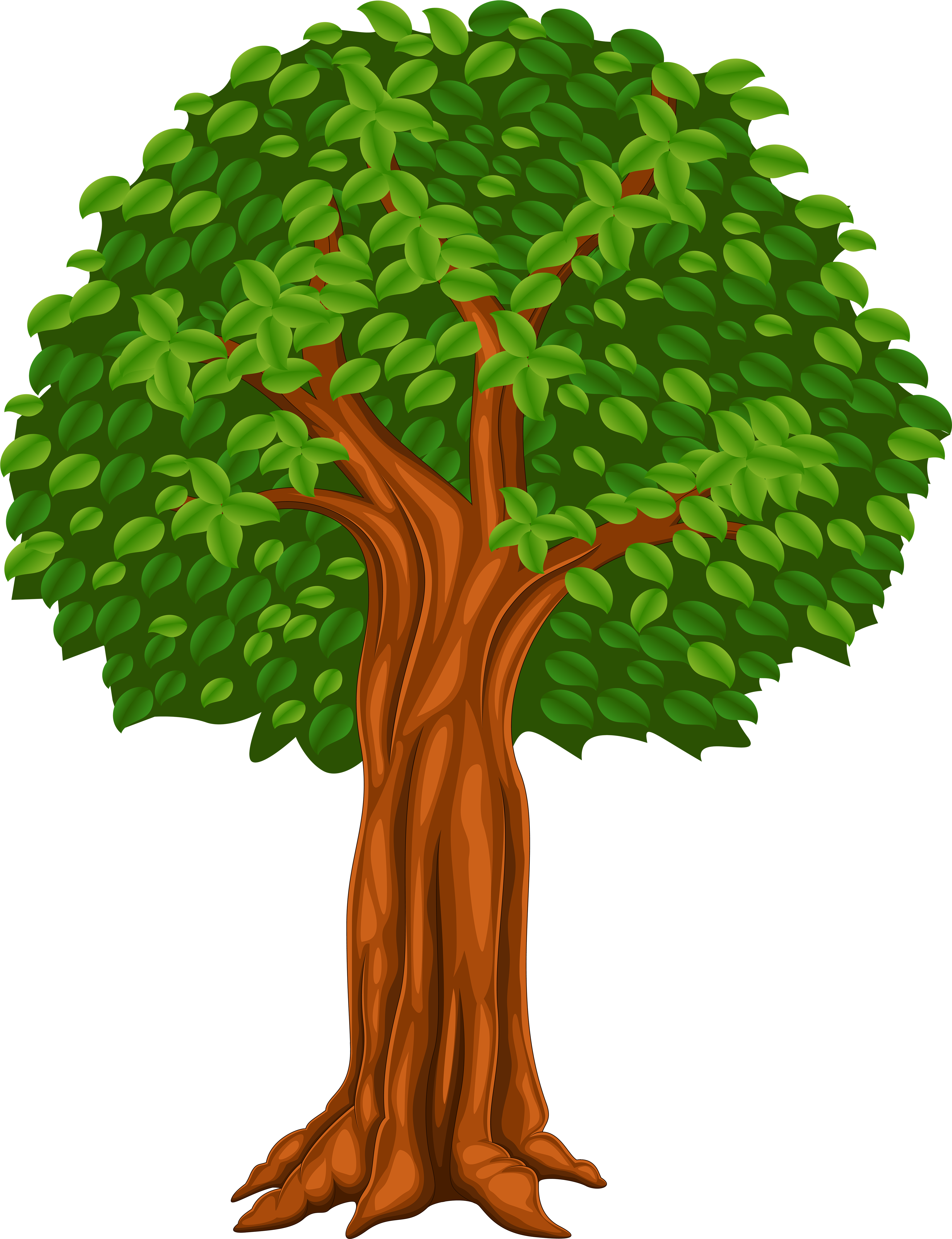 Detail Tree Vector Transparent Background Nomer 34
