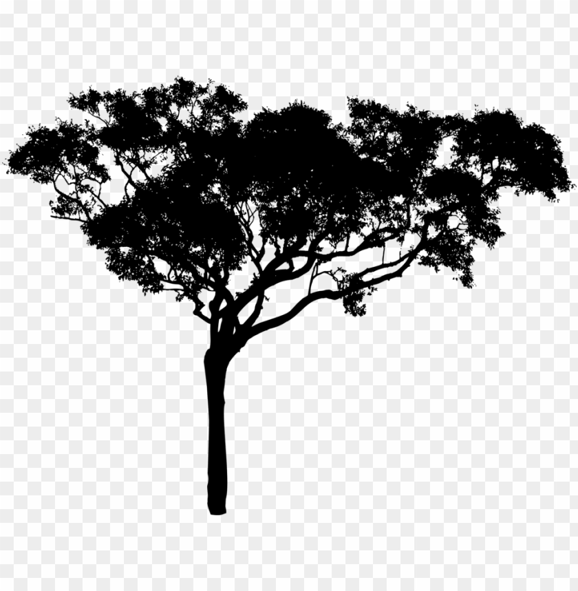 Detail Tree Vector Transparent Background Nomer 38