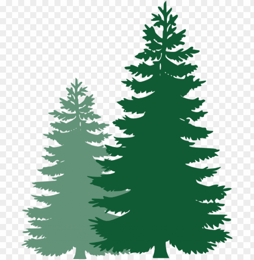 Detail Tree Vector Transparent Background Nomer 43