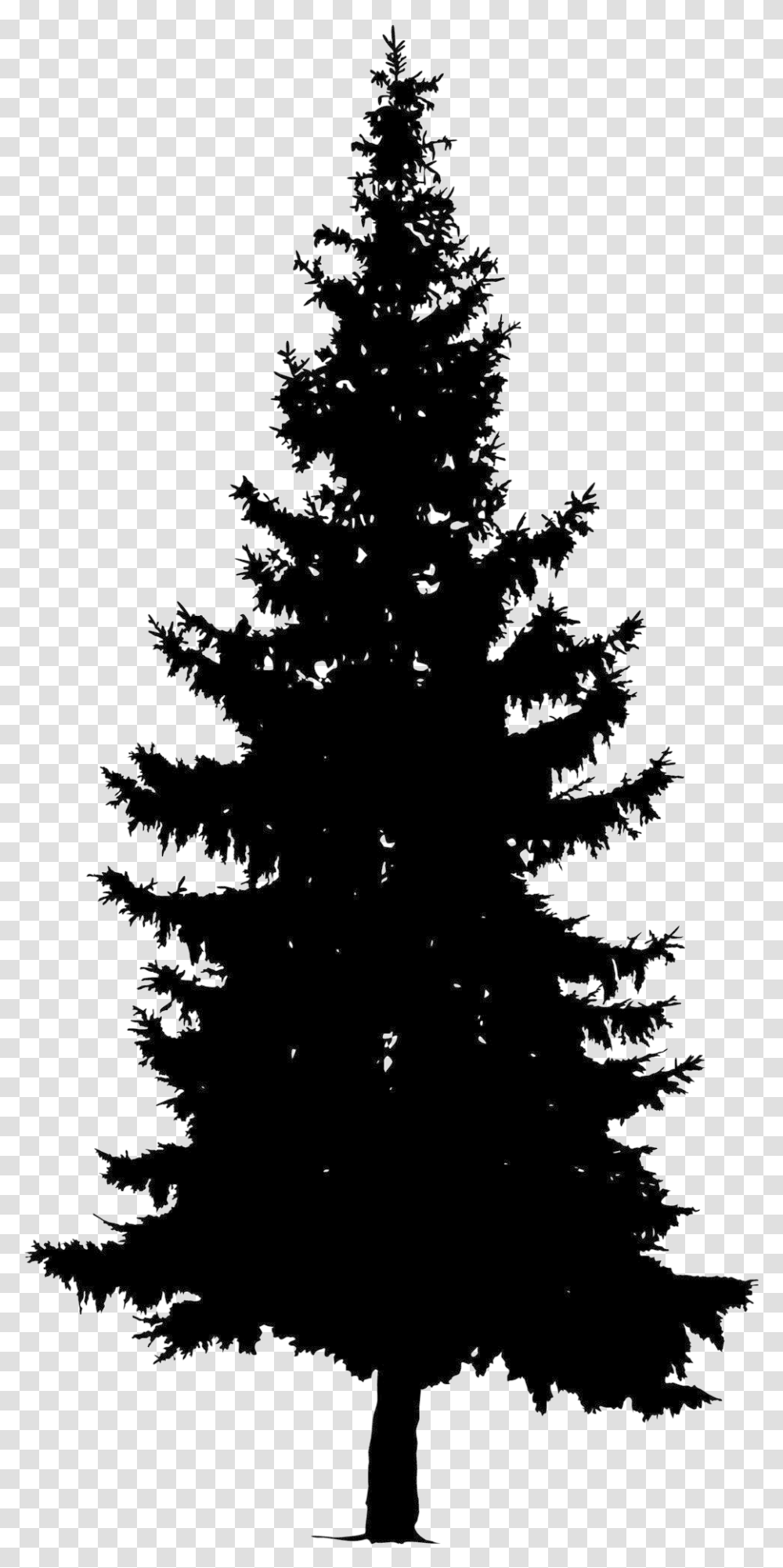 Detail Tree Vector Transparent Background Nomer 44