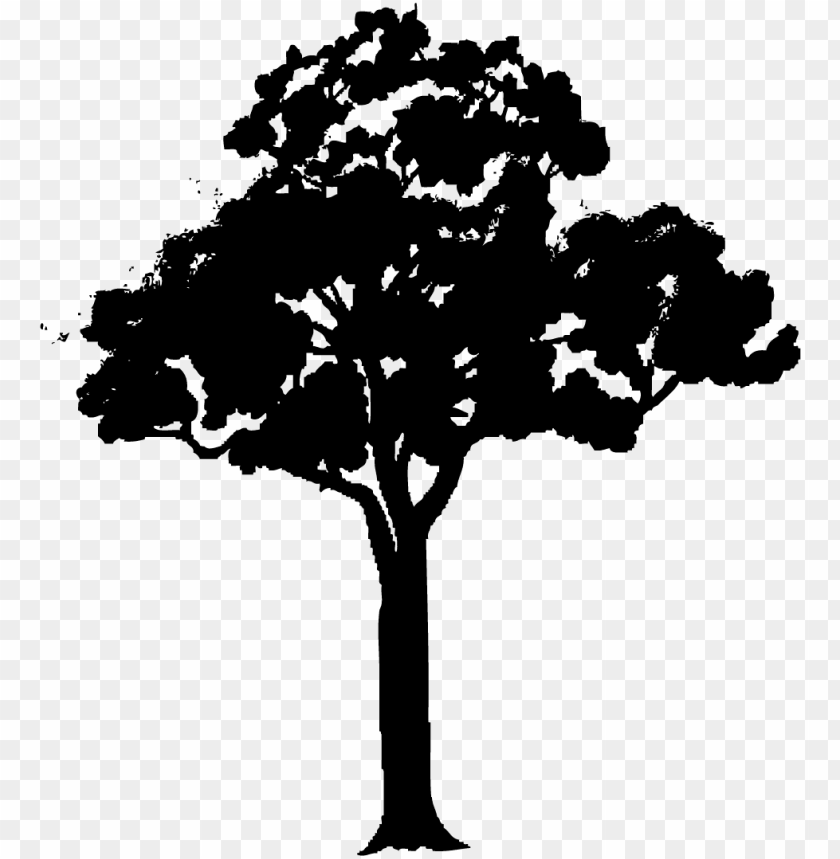Detail Tree Vector Transparent Background Nomer 45