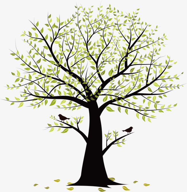 Detail Tree Vector Transparent Background Nomer 8