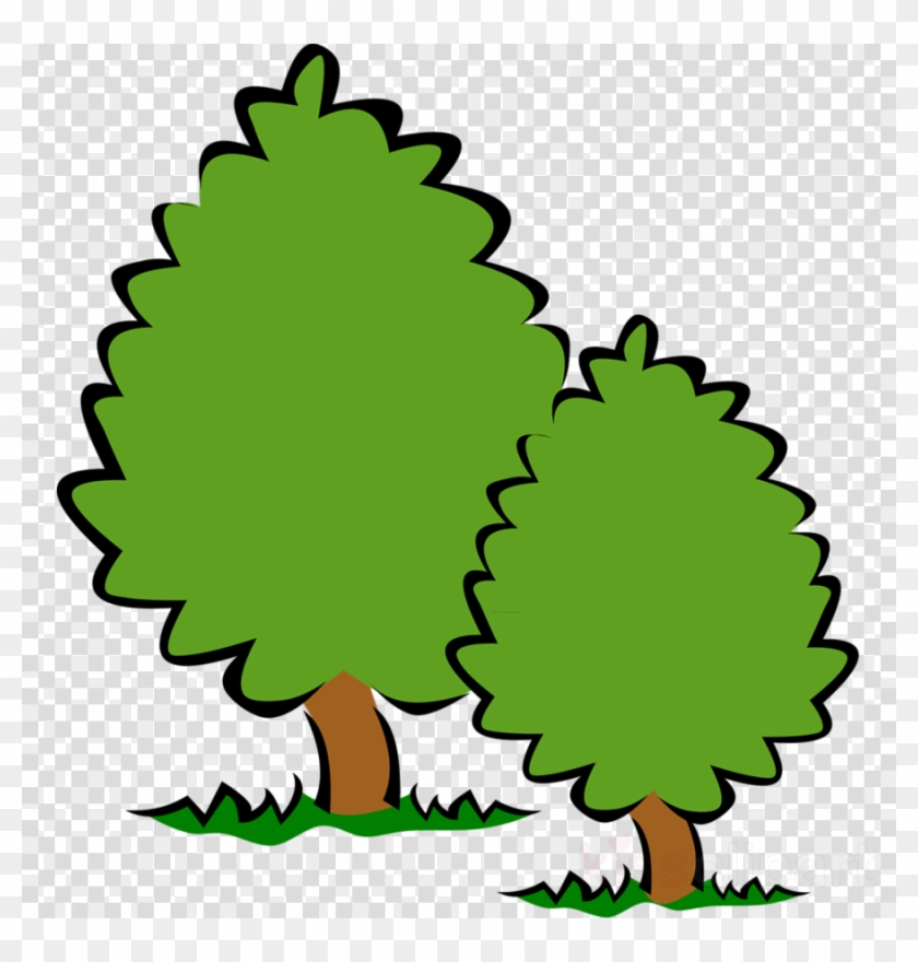 Detail Tree With Transparent Background Nomer 32