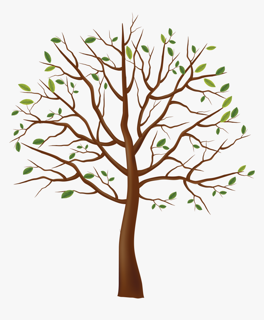 Detail Tree With Transparent Background Nomer 42