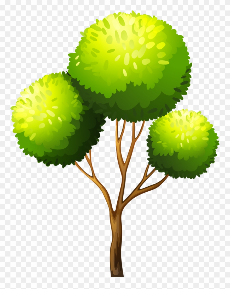 Detail Tree With Transparent Background Nomer 49