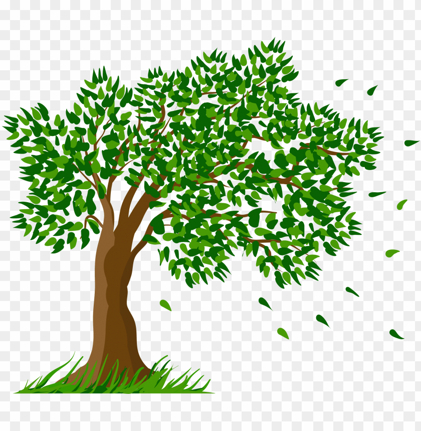 Detail Tree Without Background Png Nomer 22
