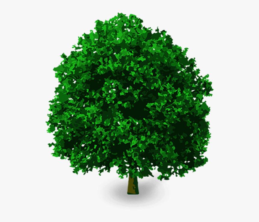 Detail Tree Without Background Png Nomer 26