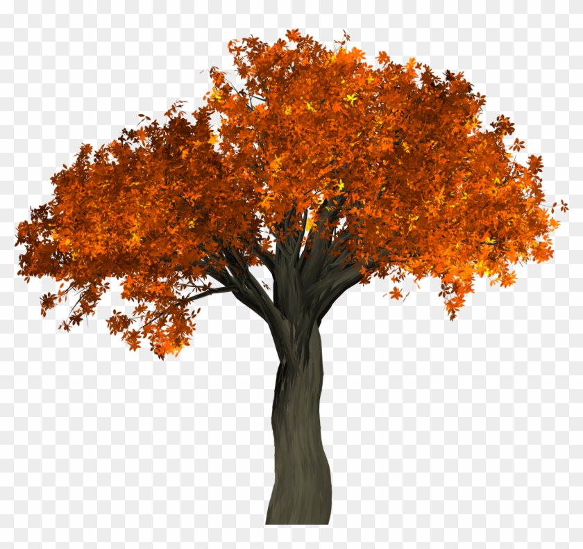 Detail Tree Without Background Png Nomer 46