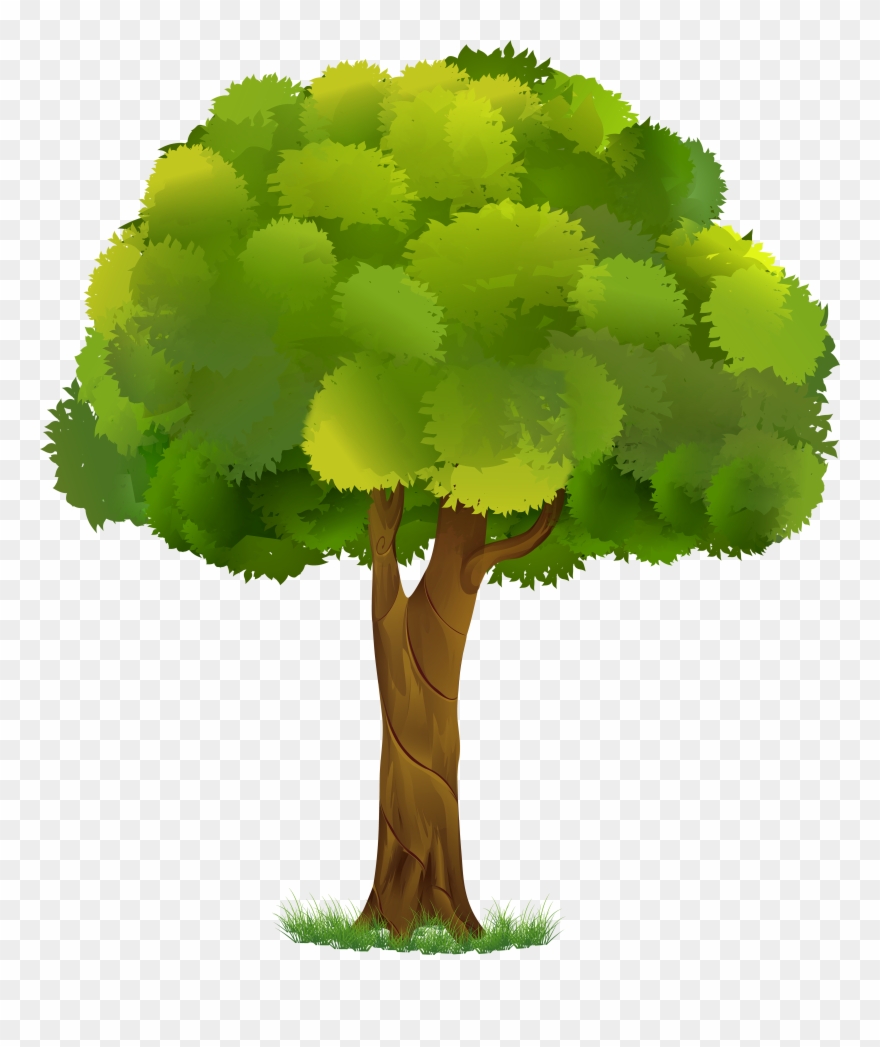 Detail Tree Without Background Png Nomer 54