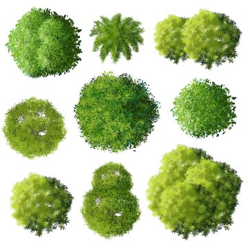 Trees Plan - KibrisPDR