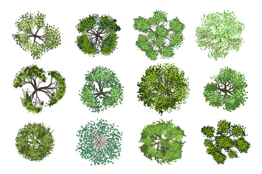 Detail Trees Plan Nomer 2