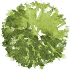 Detail Trees Plan Nomer 11