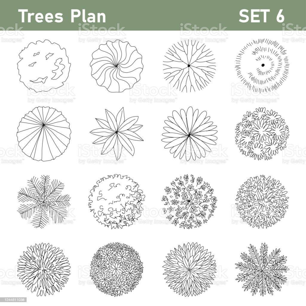 Detail Trees Plan Nomer 12