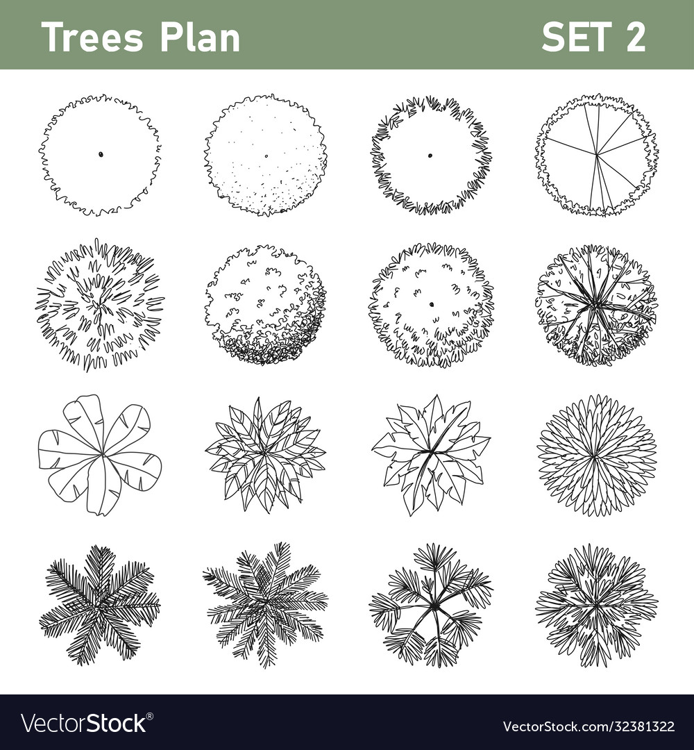 Detail Trees Plan Nomer 14