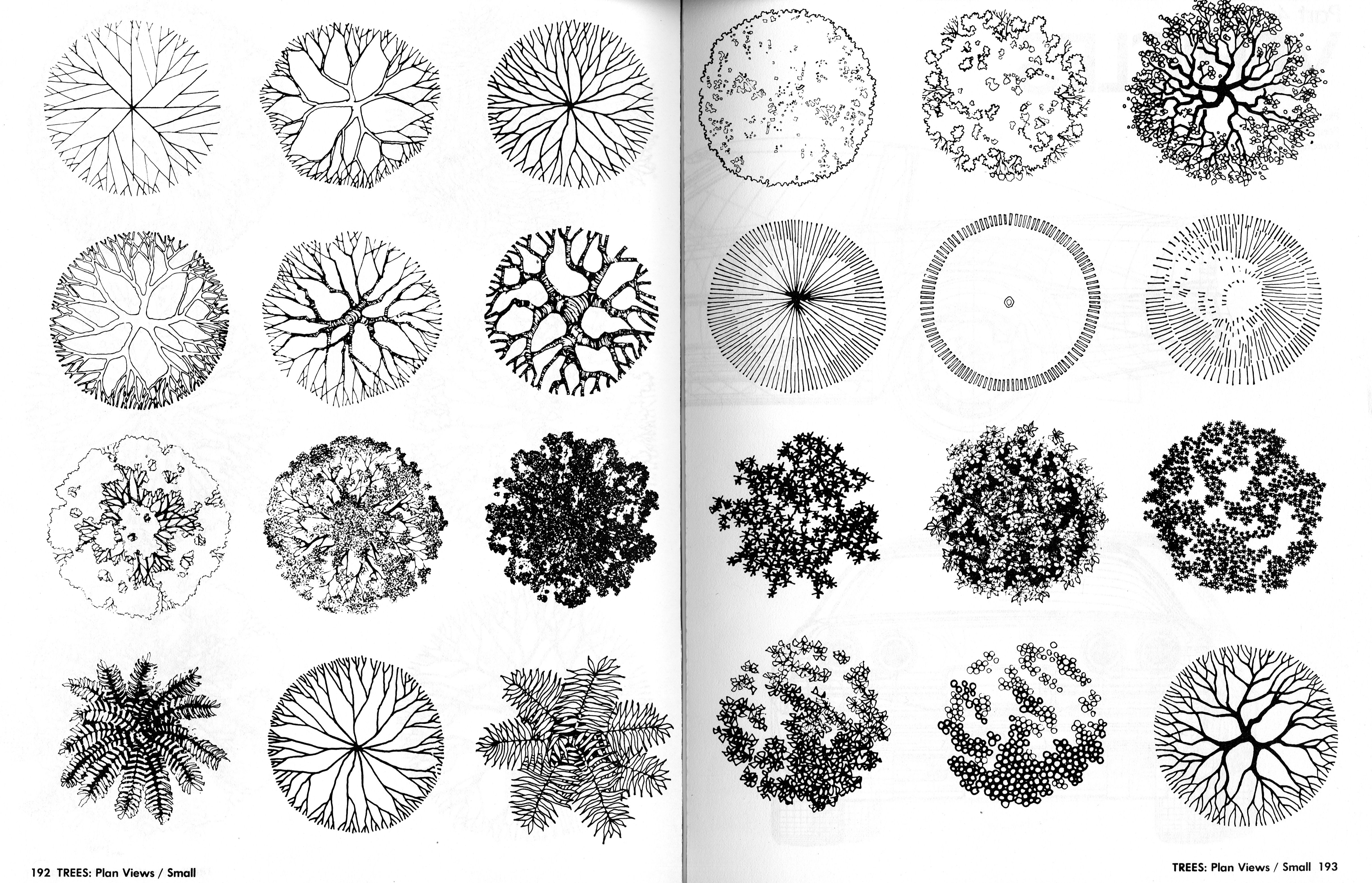 Detail Trees Plan Nomer 15