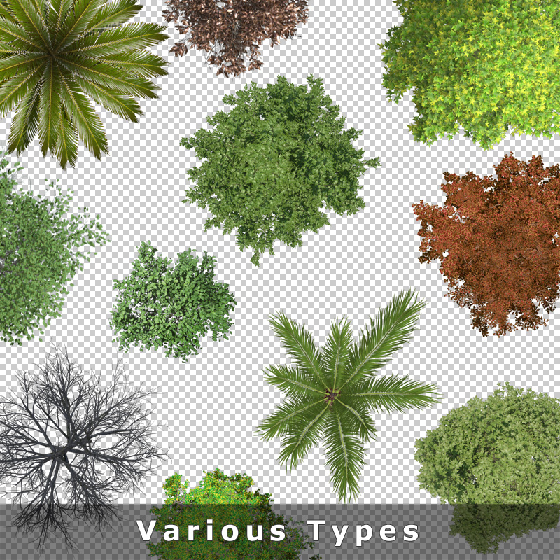 Detail Trees Plan Nomer 17