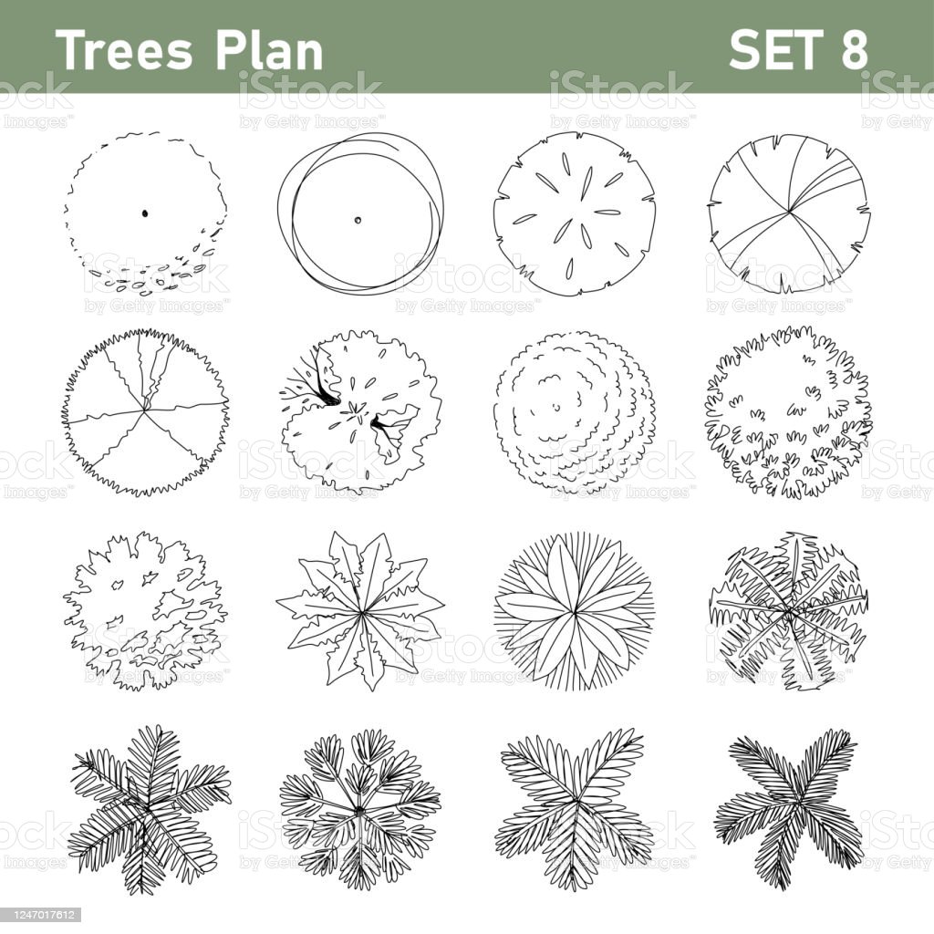 Detail Trees Plan Nomer 19