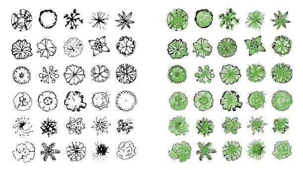Detail Trees Plan Nomer 20