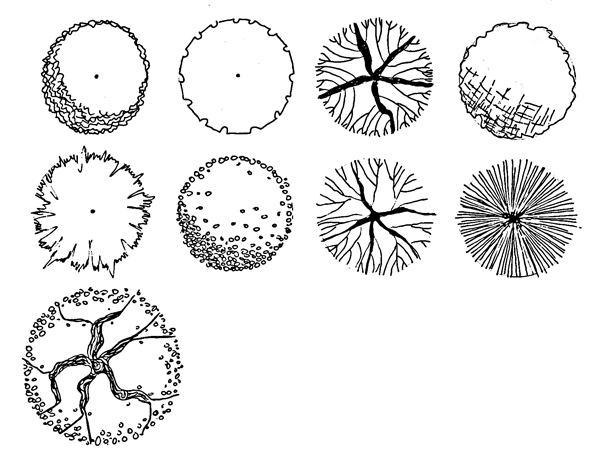 Detail Trees Plan Nomer 22