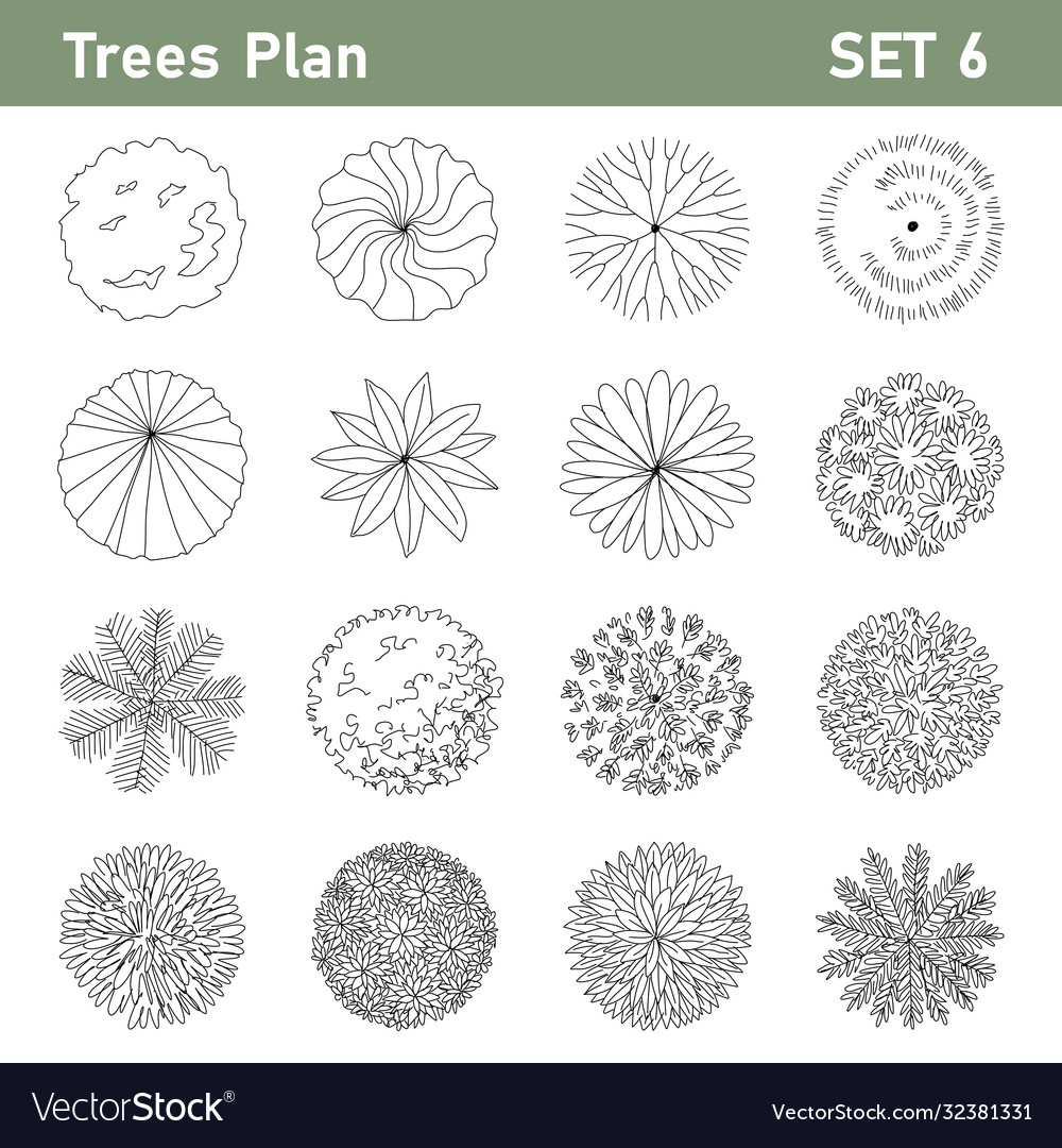 Detail Trees Plan Nomer 24