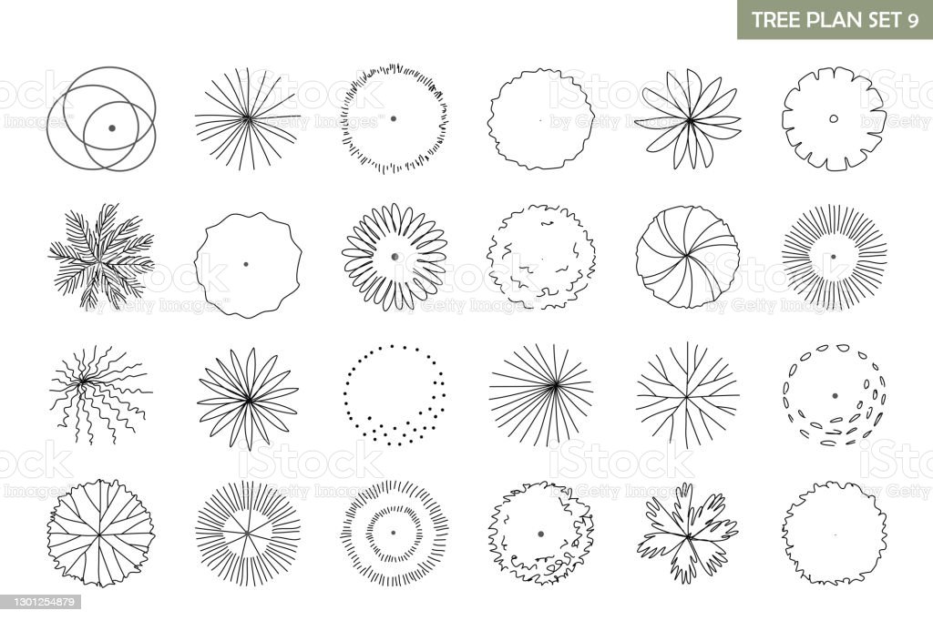 Detail Trees Plan Nomer 25