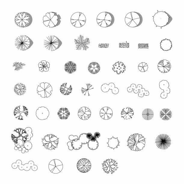 Detail Trees Plan Nomer 27