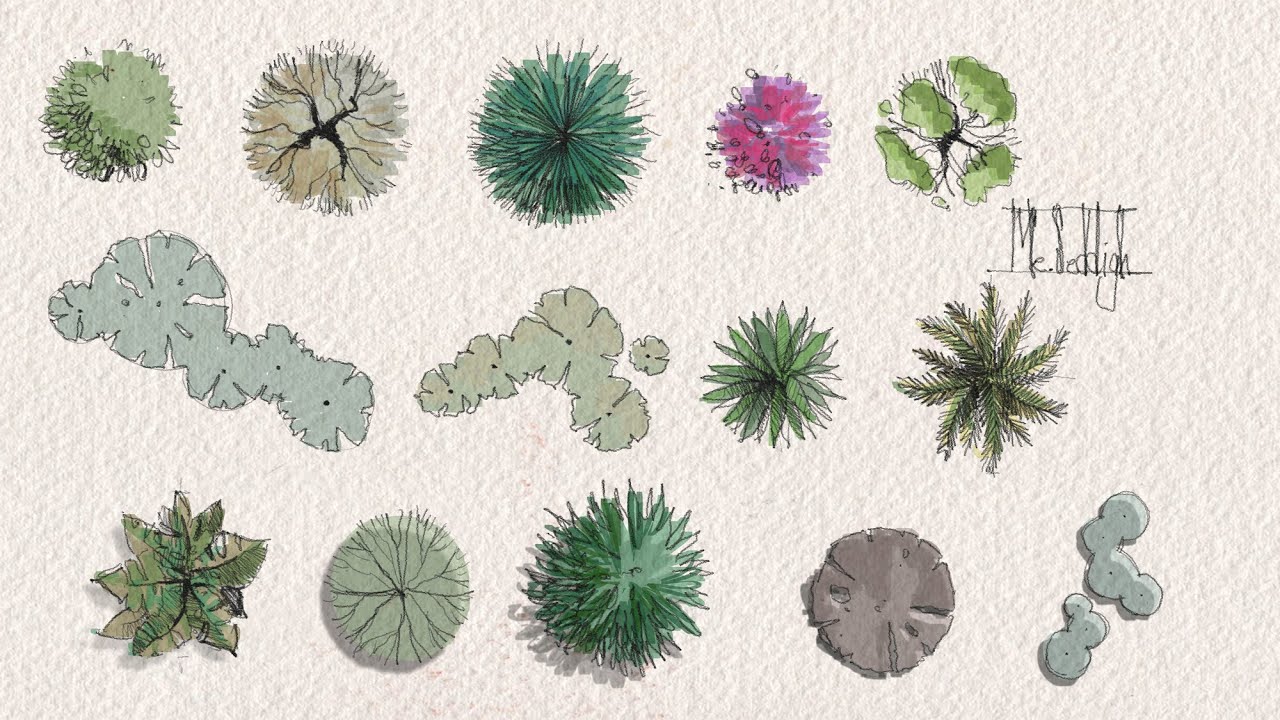 Detail Trees Plan Nomer 28