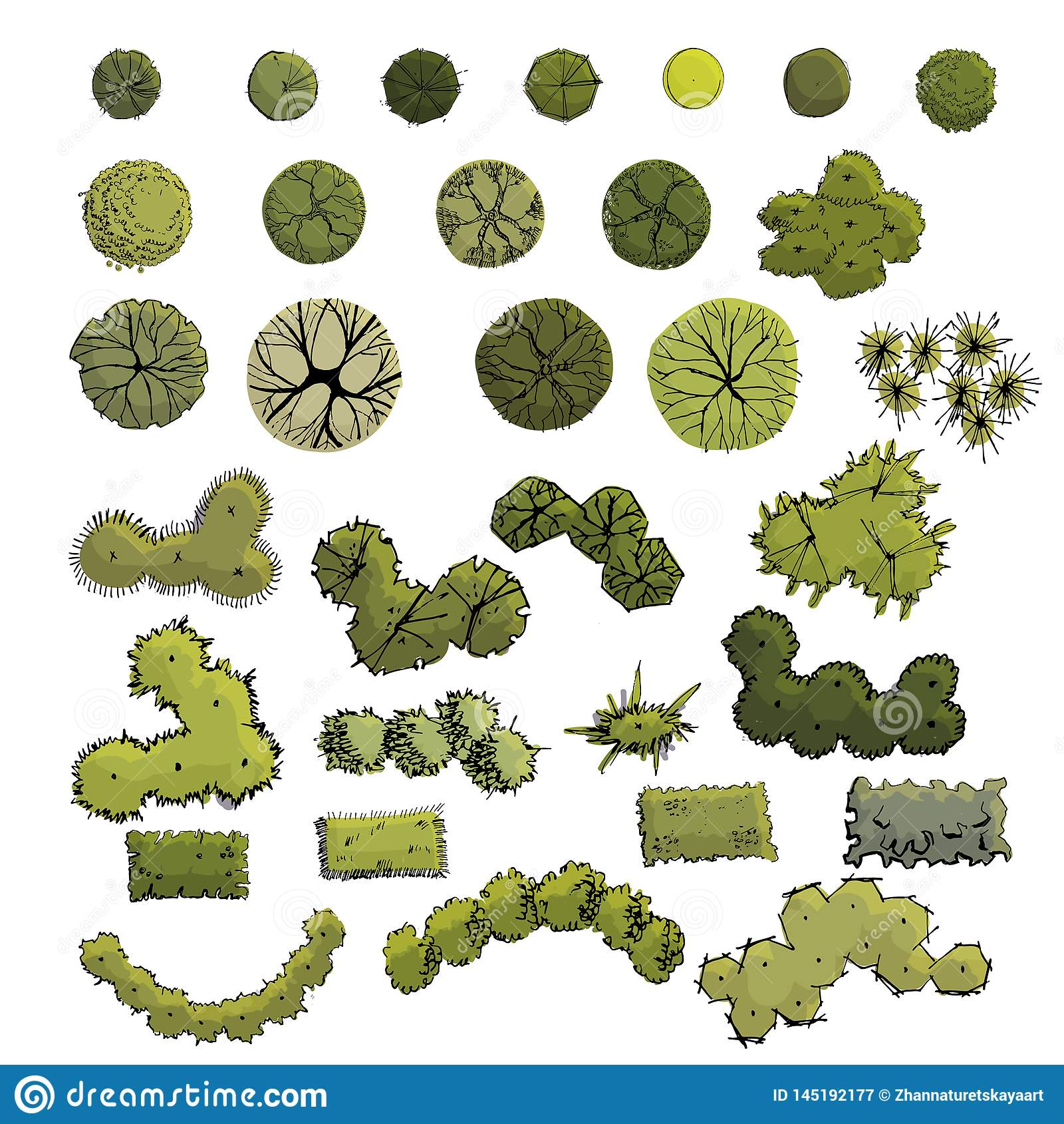 Detail Trees Plan Nomer 4