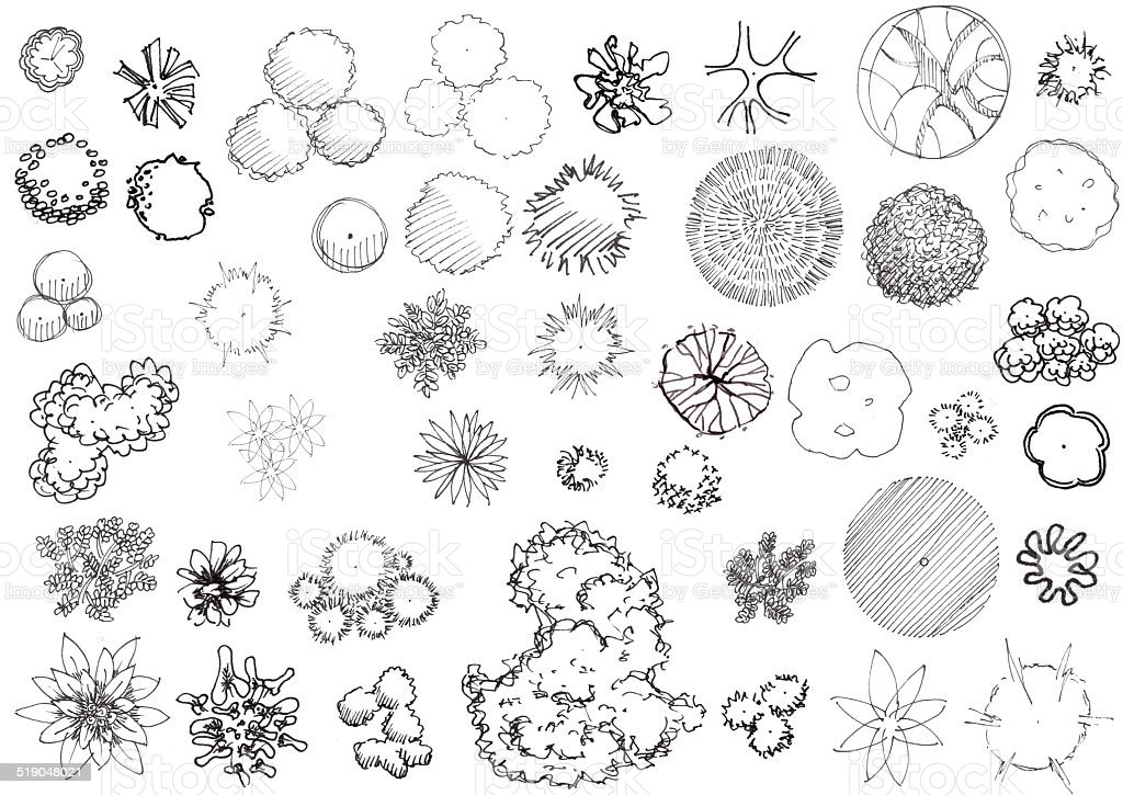 Detail Trees Plan Nomer 30