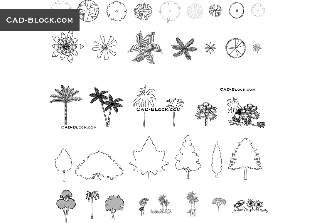 Detail Trees Plan Nomer 31