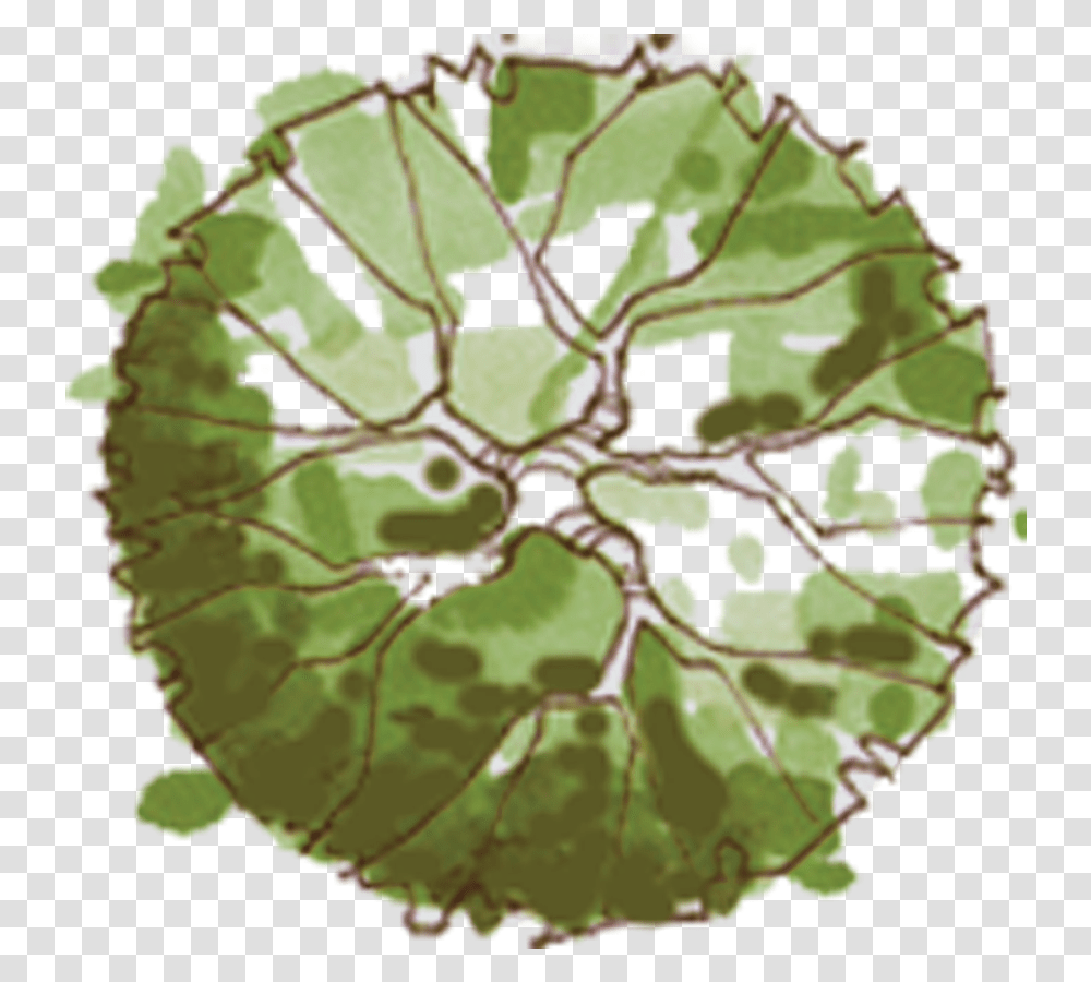 Detail Trees Plan Nomer 35