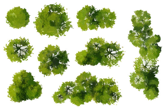 Detail Trees Plan Nomer 5