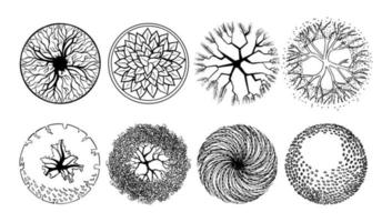 Detail Trees Plan Nomer 40