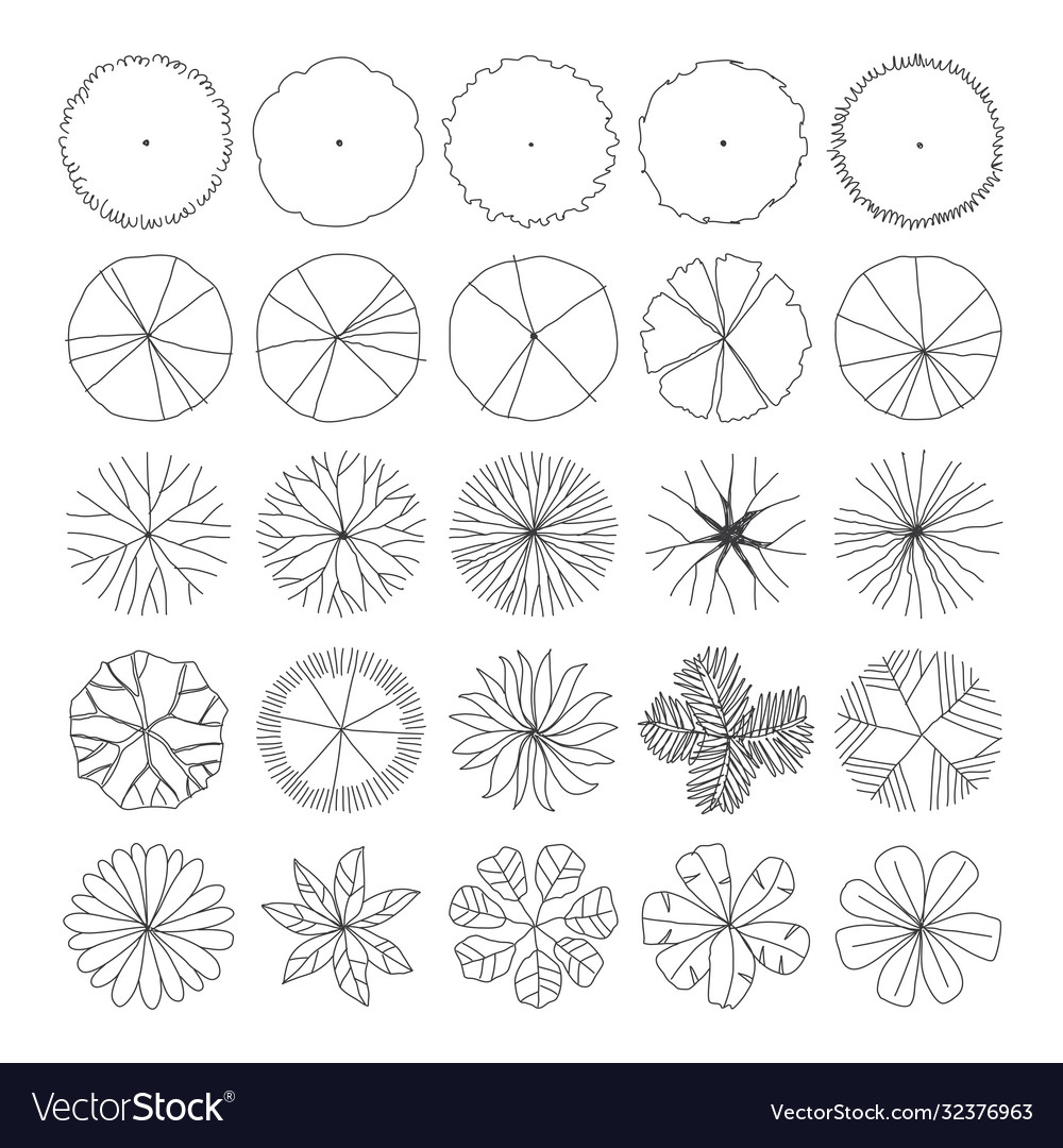 Detail Trees Plan Nomer 46