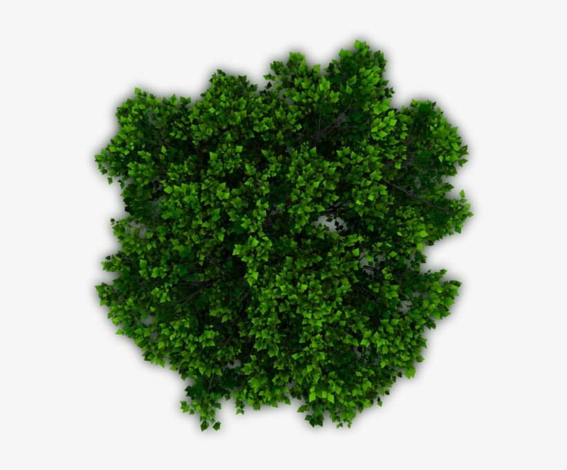 Detail Trees Plan Nomer 47
