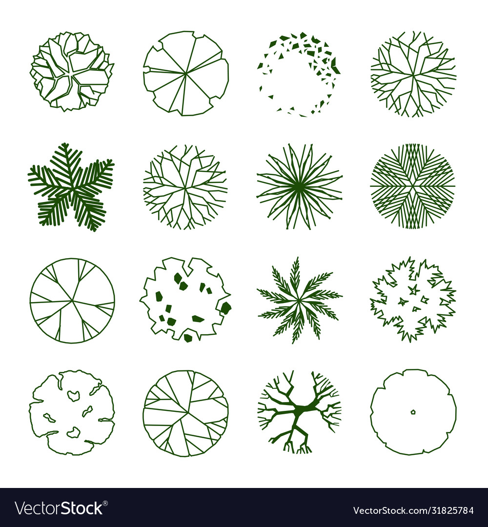 Detail Trees Plan Nomer 6