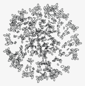Detail Trees Plan Nomer 49