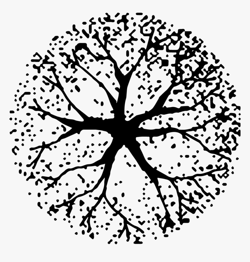 Detail Trees Plan Nomer 54