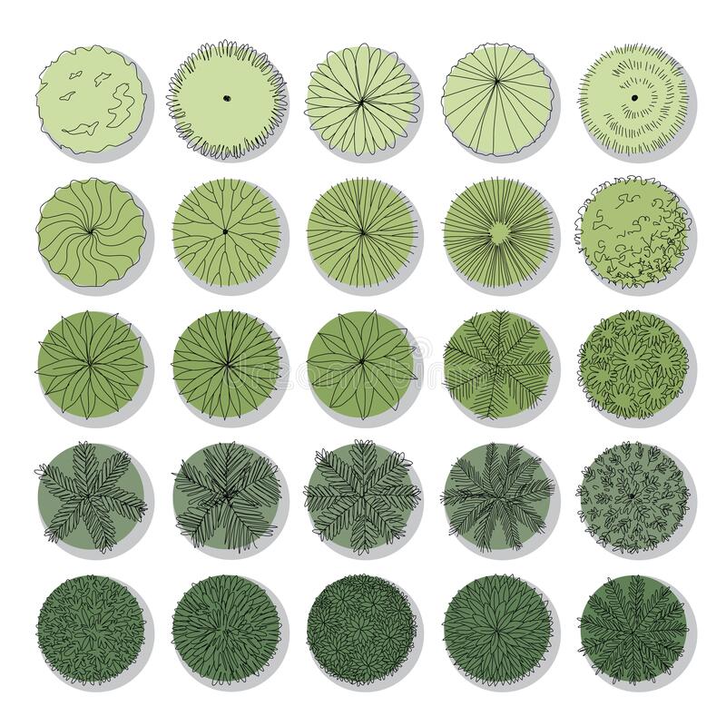Detail Trees Plan Nomer 10