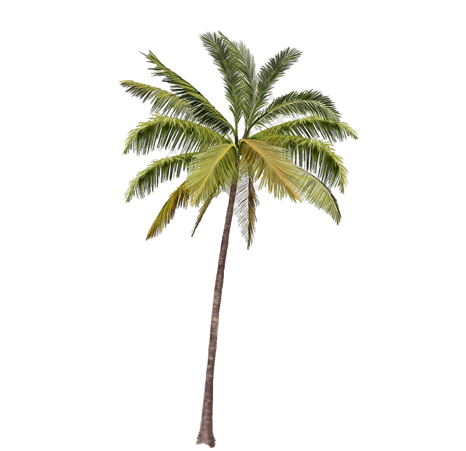 Detail Trees Png Image Nomer 18