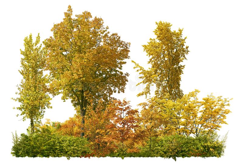 Detail Trees Png Image Nomer 41