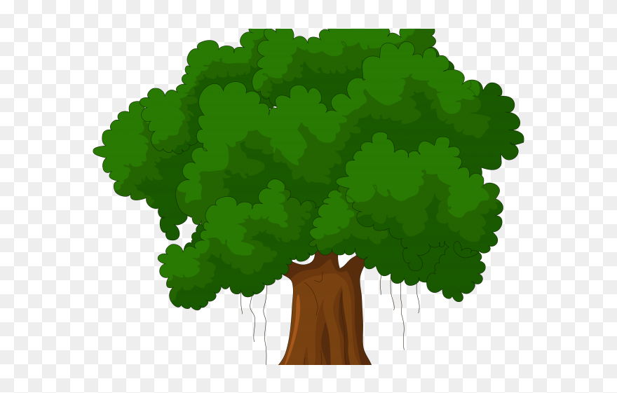 Detail Trees Transparent Background Nomer 19