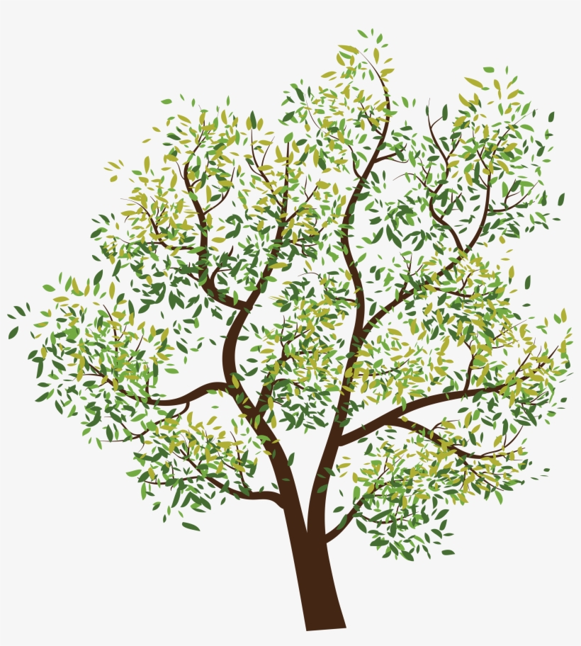 Detail Trees Transparent Background Nomer 36