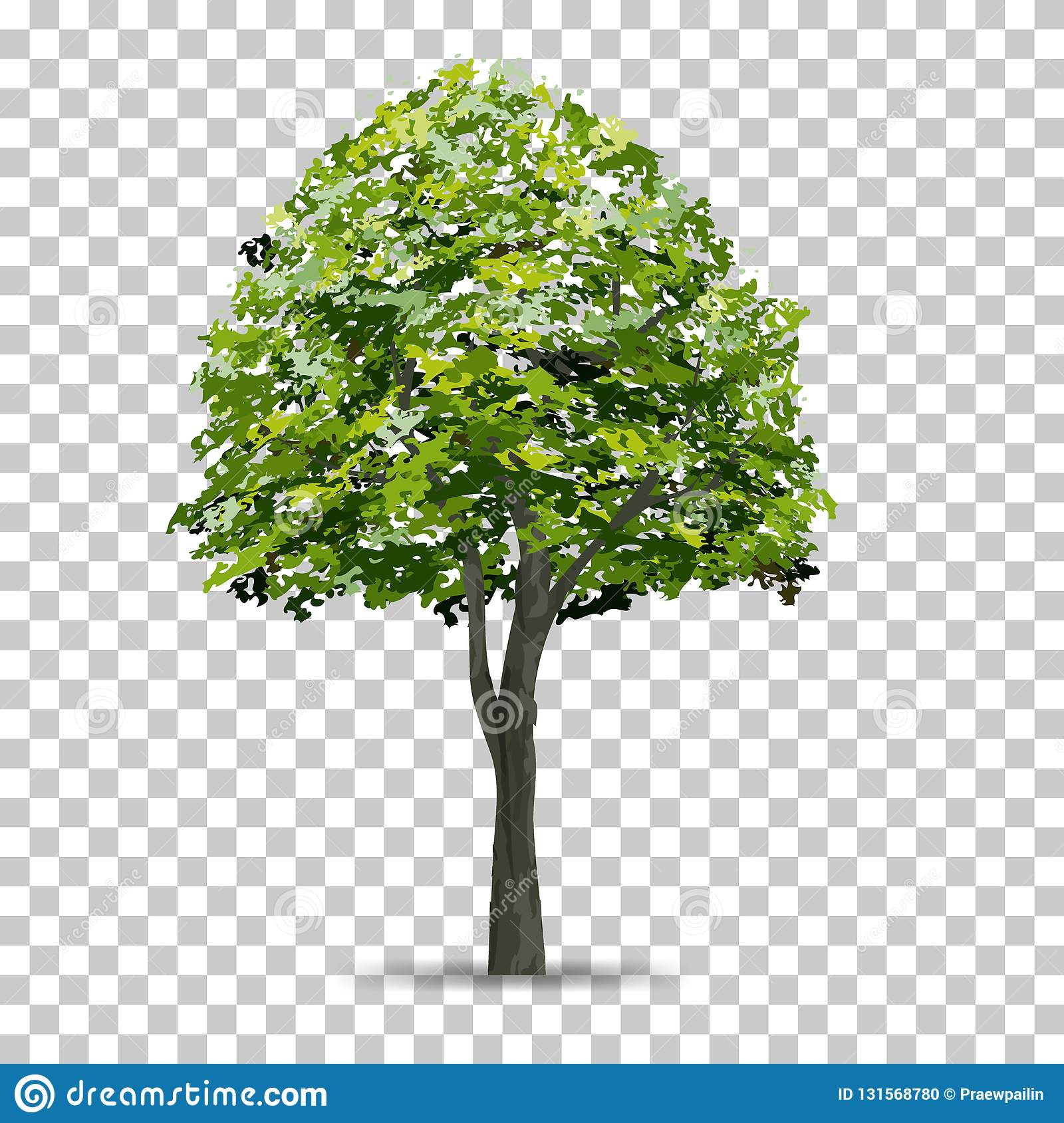 Detail Trees With Transparent Background Nomer 15