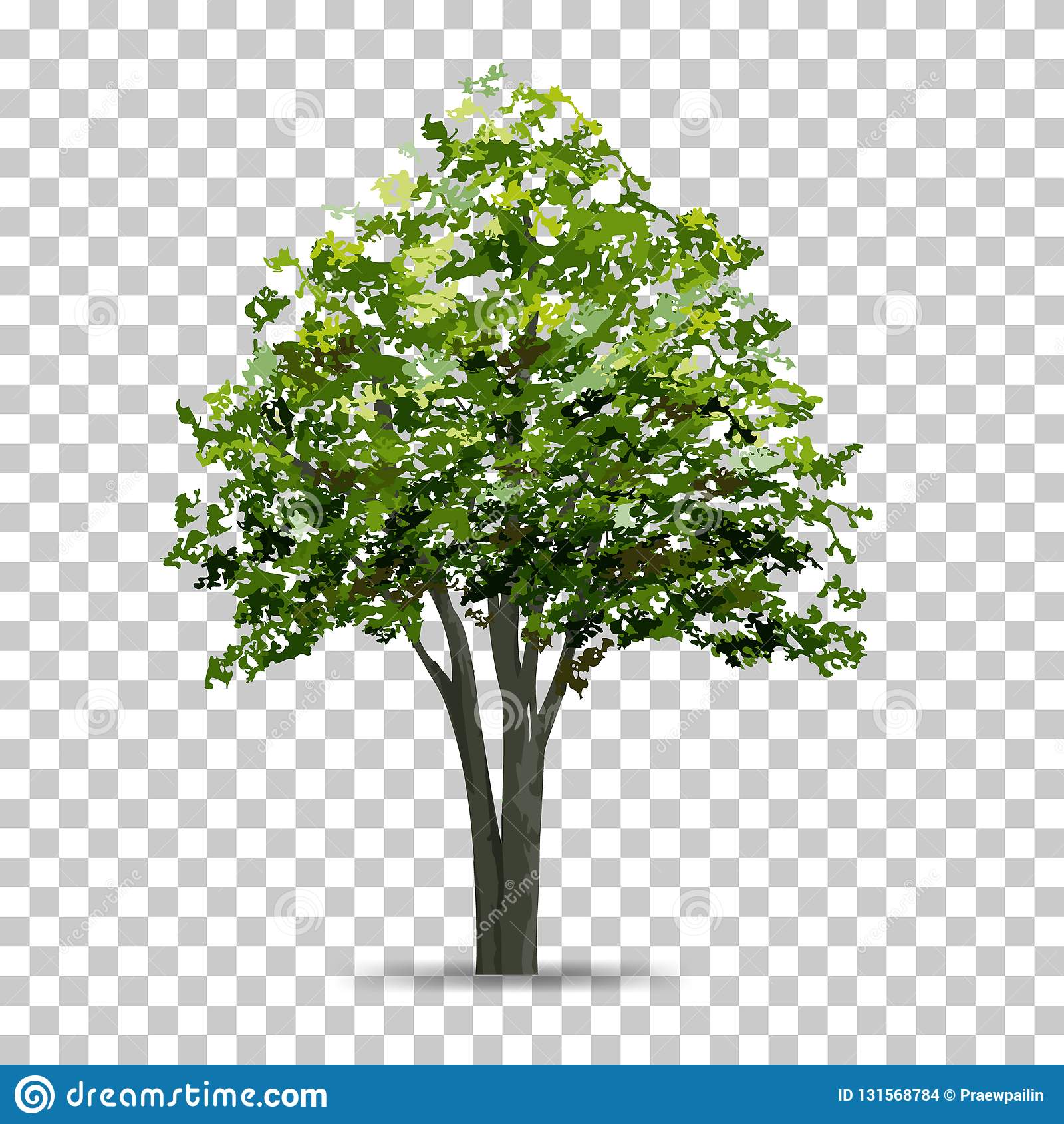 Detail Trees With Transparent Background Nomer 6