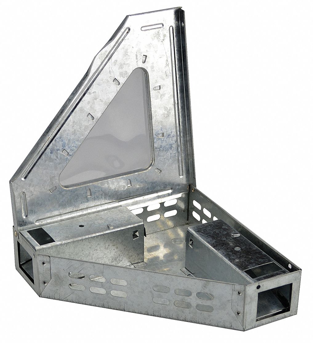 Triangle Mouse Trap - KibrisPDR