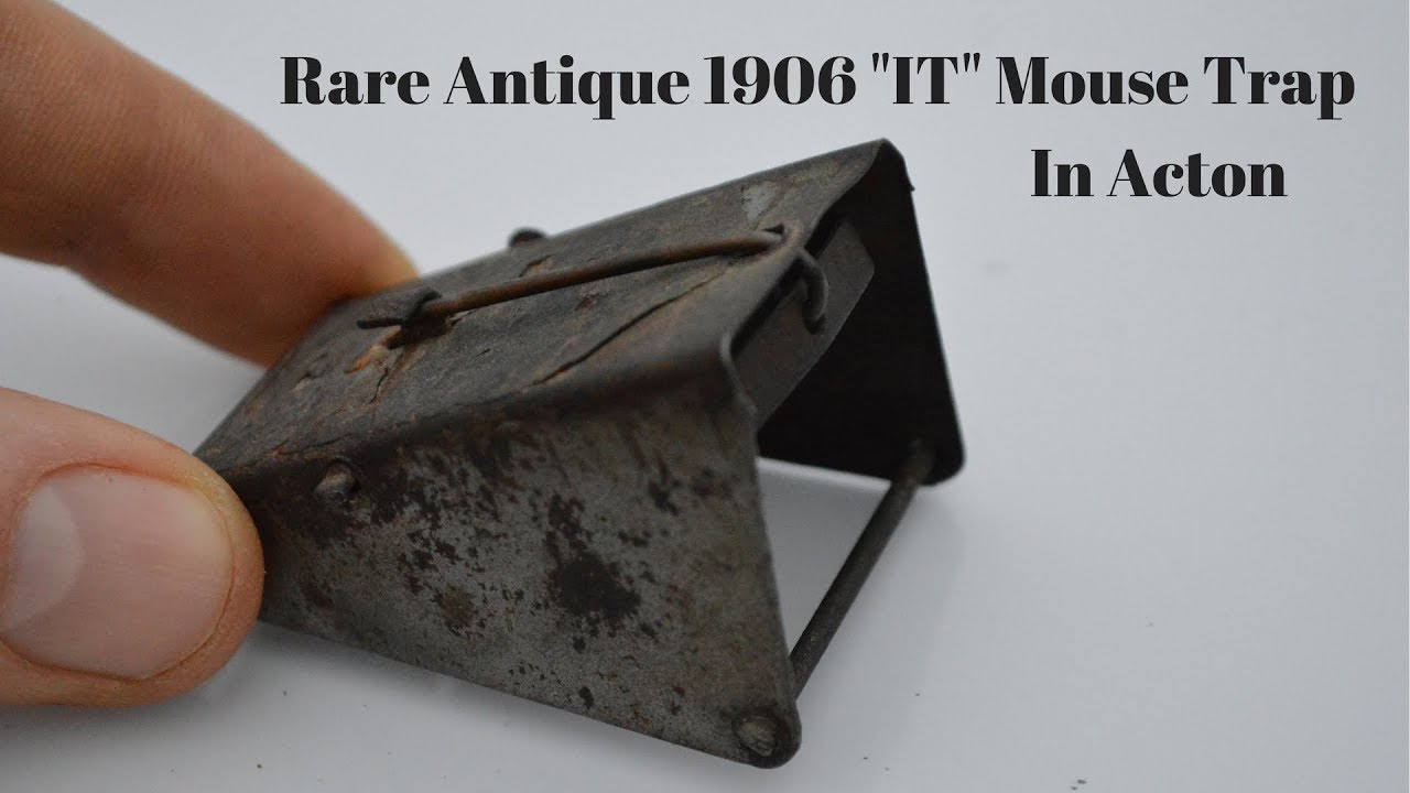 Detail Triangle Mouse Trap Nomer 12