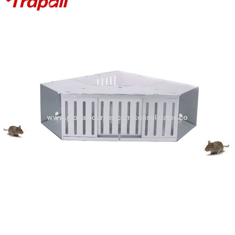 Detail Triangle Mouse Trap Nomer 18